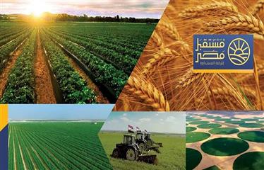 الدلتا الجديدة.. مشروع الأمن الغذائي المصري وإعادة هندسة الدولة التنموية في إطار رؤية مصر 2030
