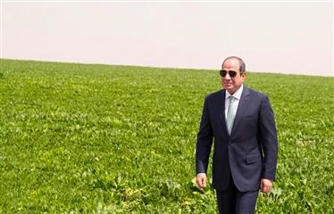 "الدلتا الجديدة":  إعادة هندسة الدولة التنموية في عصر الاضطراب العالمي.. الأمن الغذائي والسيادة الاستراتيجية في إطار رؤية مصر 2030